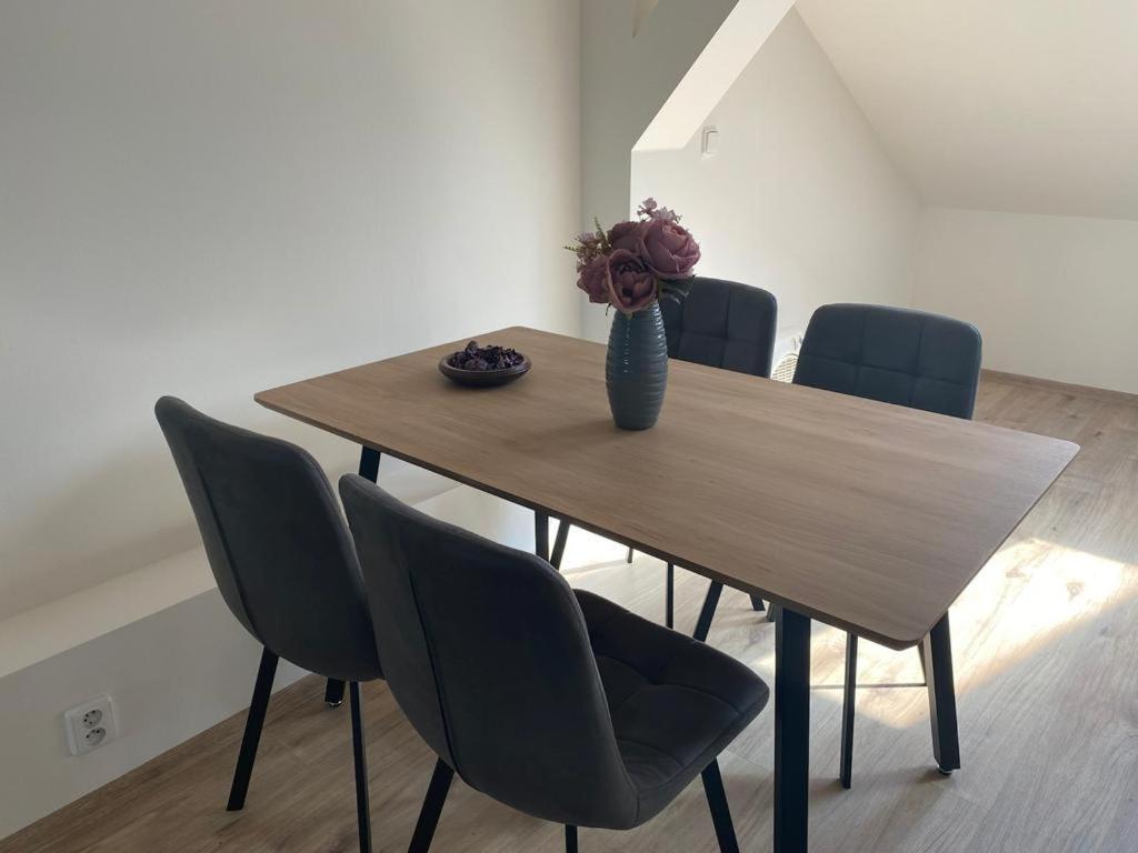 Cerny Tulipan - Apartman 5 プルゼニ エクステリア 写真