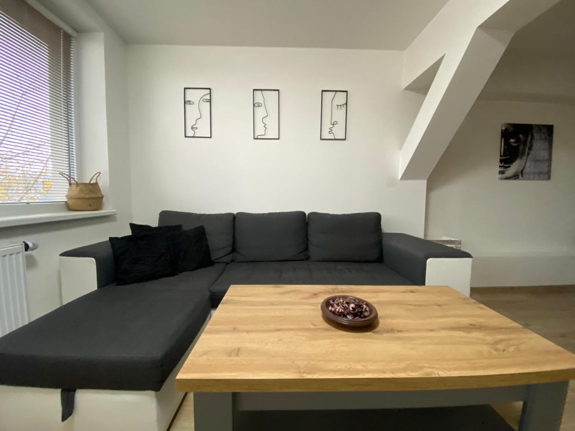 Cerny Tulipan - Apartman 5 プルゼニ エクステリア 写真