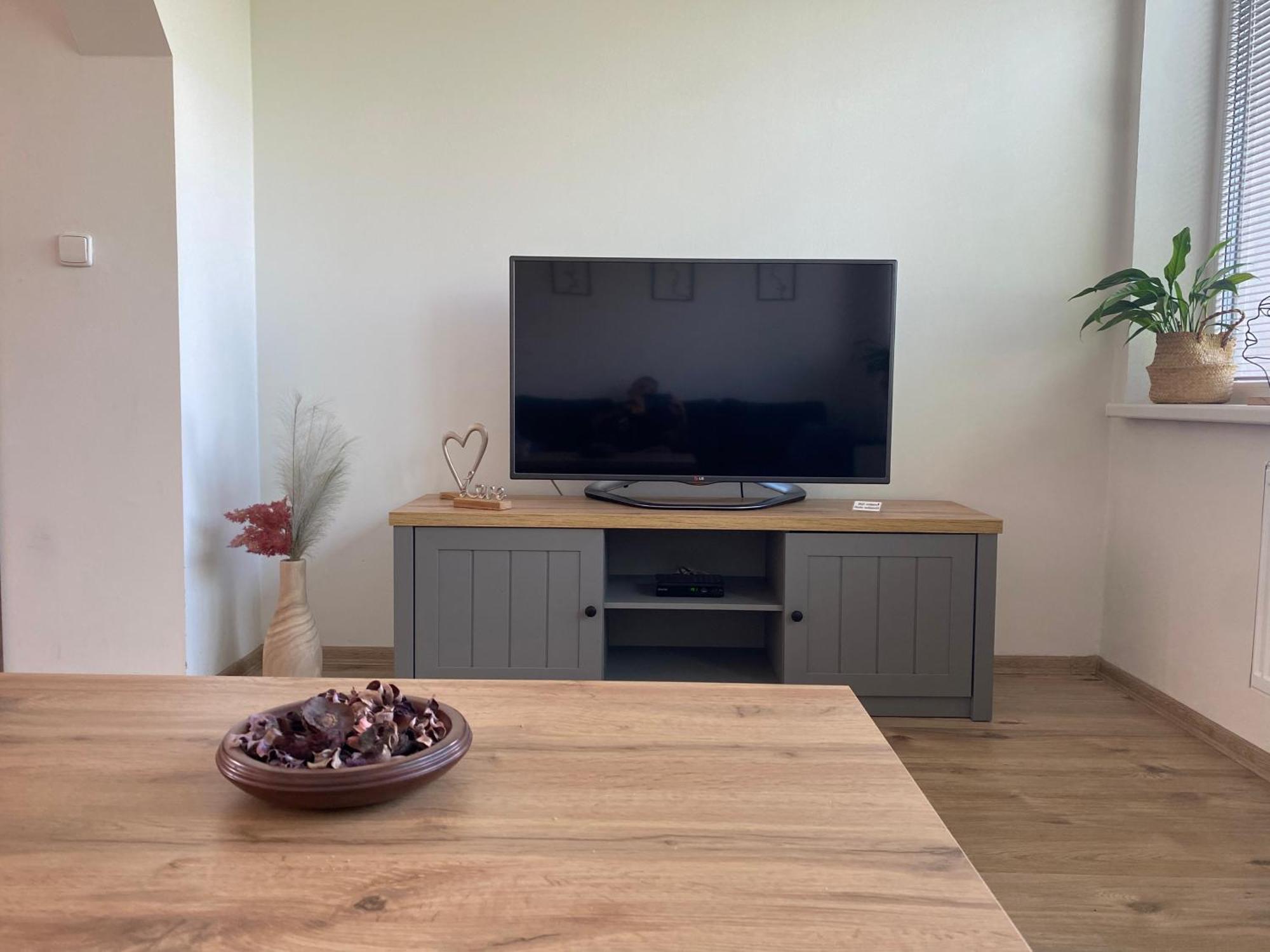 Cerny Tulipan - Apartman 5 プルゼニ エクステリア 写真